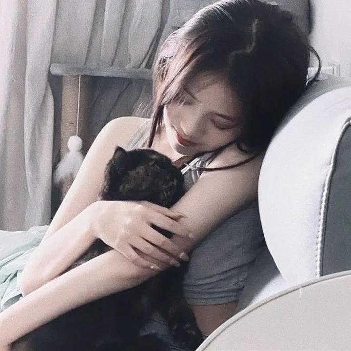几度菊花香